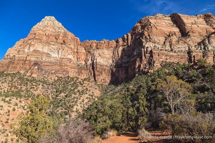 travelyesplease.com | Watchman Trail Hike in Zion National Park