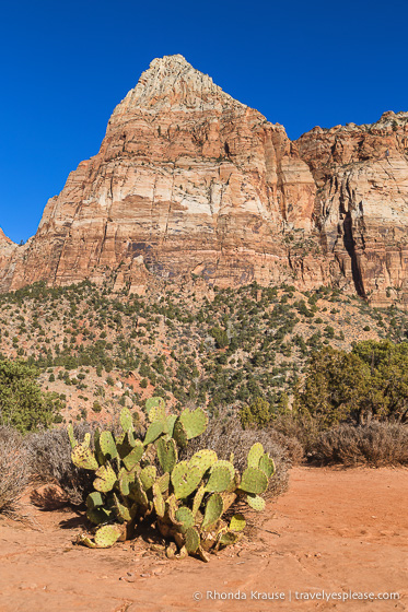 travelyesplease.com | Hiking Watchman Trail in Zion National Park