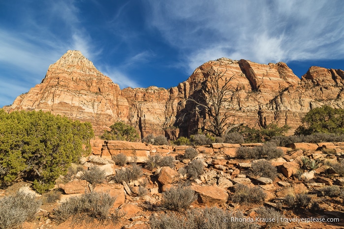 travelyesplease.com | Hiking Watchman Trail in Zion National Park
