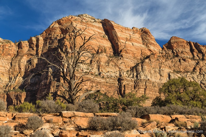 travelyesplease.com | Watchman Trail Hike in Zion National Park