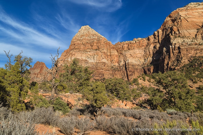 travelyesplease.com | Watchman Trail Hike in Zion National Park