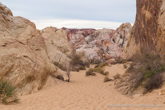 travelyesplease.com | White Domes Hike- Valley of Fire State Park