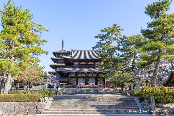 travelyesplease.com / besøger Horyu - ji Temple - verdens ældste træbygninger