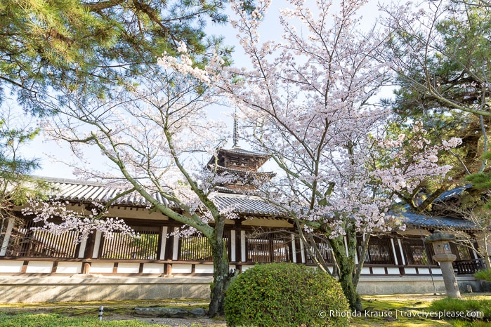 travelyesplease.com / besöker Horyu-ji-templet - världens äldsta träbyggnader