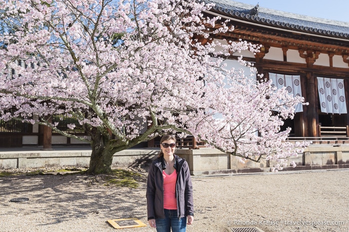 travelyesplease.com | na Návštěvě Horyu-ji Temple - Svět je Nejstarší Dřevěné Stavby