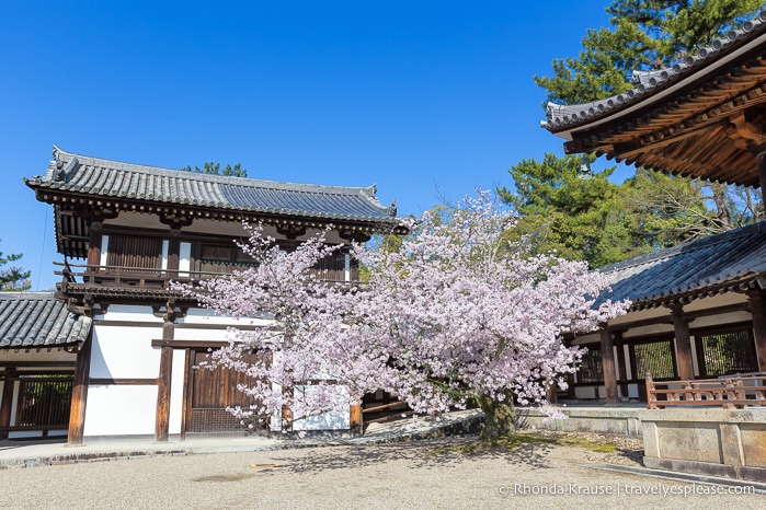 travelyesplease.com / rundtur i Horyu-ji-templet - världens äldsta träbyggnader