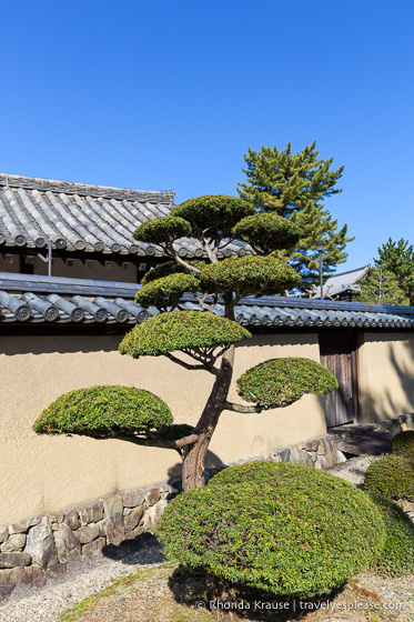 travelyesplease.com / zwiedzanie świątyni Horyu-ji, Japonia
