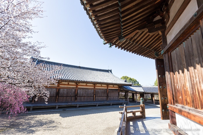 travelyesplease.com / besøg Horyu-ji-templet - verdens ældste træbygninger