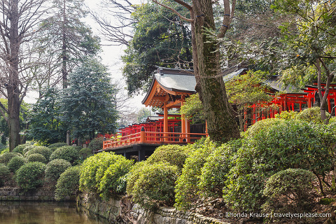 travelyesplease.com | Visiting Nezu Shrine- One of Tokyo's Oldest Shrines