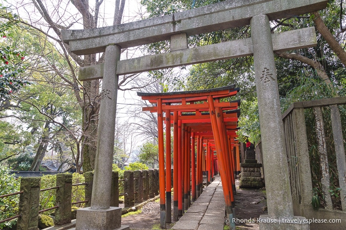 travelyesplease.com | Visiting Nezu Shrine- One of Tokyo's Oldest Shrines