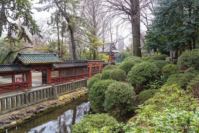travelyesplease.com | Nezu Shrine- Tour, History, and Tips for Visiting