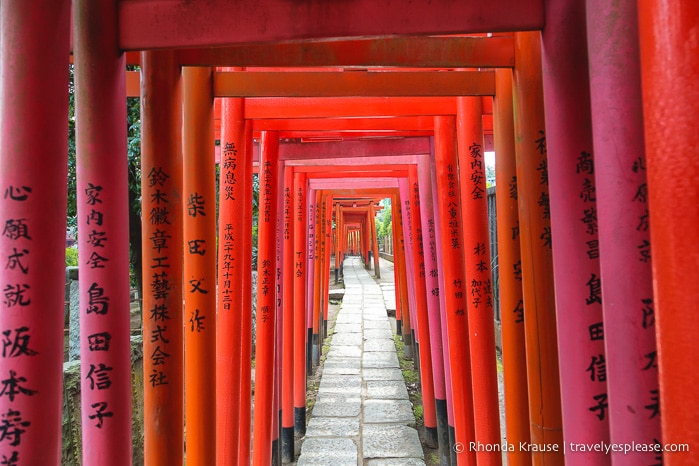 travelyesplease.com | Nezu Shrine- Visiting One of the Oldest Shrines in Tokyo