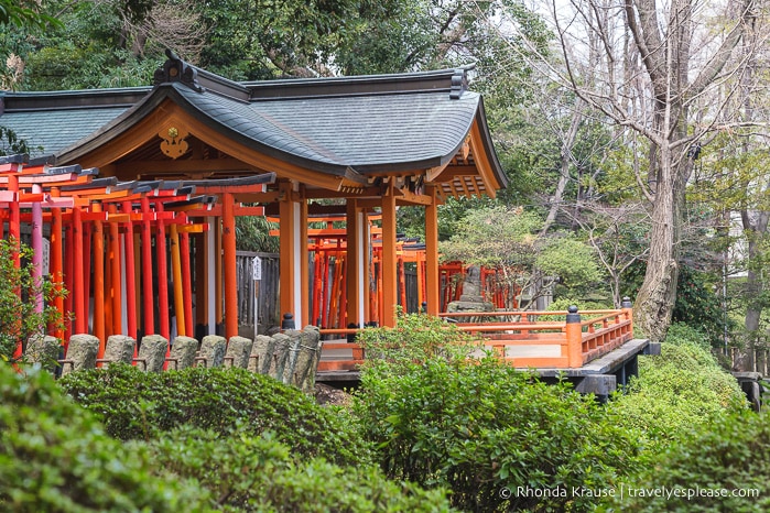 travelyesplease.com | Visiting Nezu Shrine- One of Tokyo's Oldest Shrines