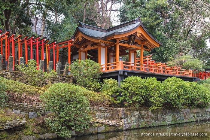 Visiting Nezu Shrine- One of Tokyo’s Oldest Shrines