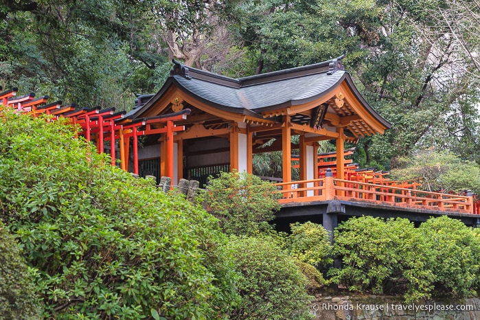 travelyesplease.com | Nezu Shrine- Visiting One of the Oldest Shrines in Tokyo