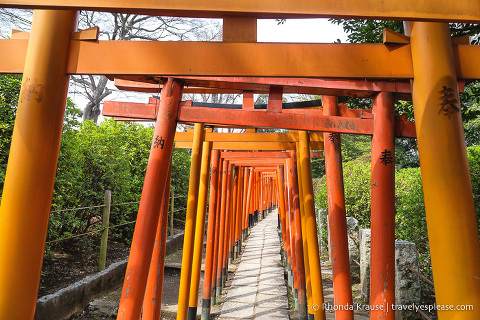 travelyesplease.com | Nezu Shrine- Visiting One of the Oldest Shrines in Tokyo