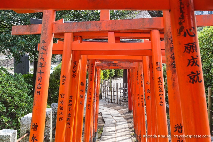 travelyesplease.com | Nezu Shrine- Tour, History, and Tips for Visiting