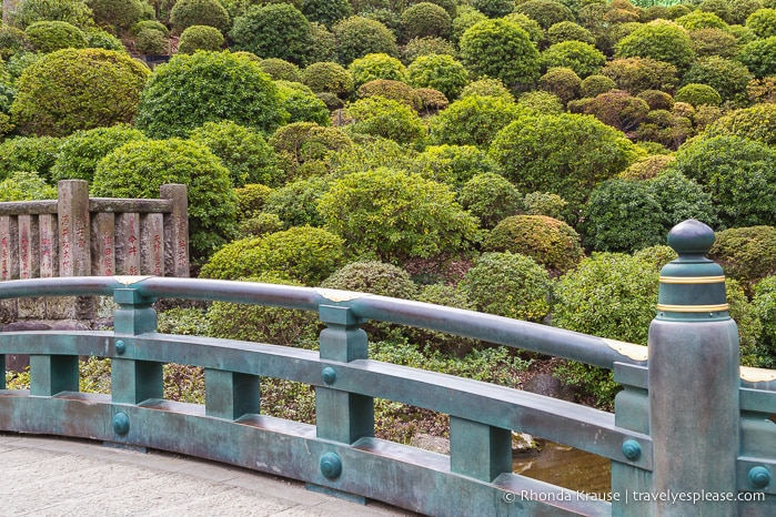 travelyesplease.com | Nezu Shrine- History, Tour, and Tips for Visiting