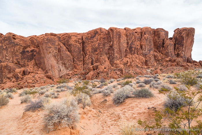 travelyesplease.com | How to Enjoy a Half-Day in Valley of Fire State Park- Best Hikes and Scenic Spots