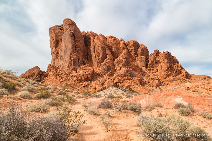 travelyesplease.com | How to Enjoy a Half-Day in Valley of Fire State Park- Best Hikes and Scenic Spots