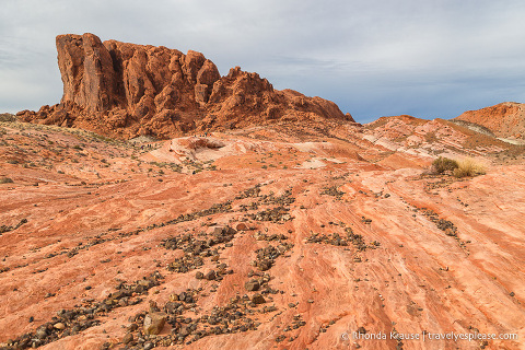 Las Vegas: Day Trip to Valley of Fire State Park 2023