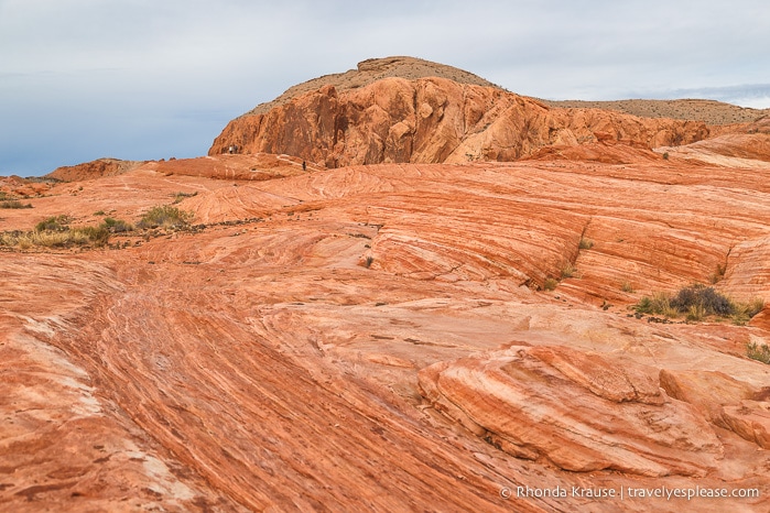 travelyesplease.com | How to Enjoy a Half-Day in Valley of Fire State Park- Best Hikes and Scenic Spots