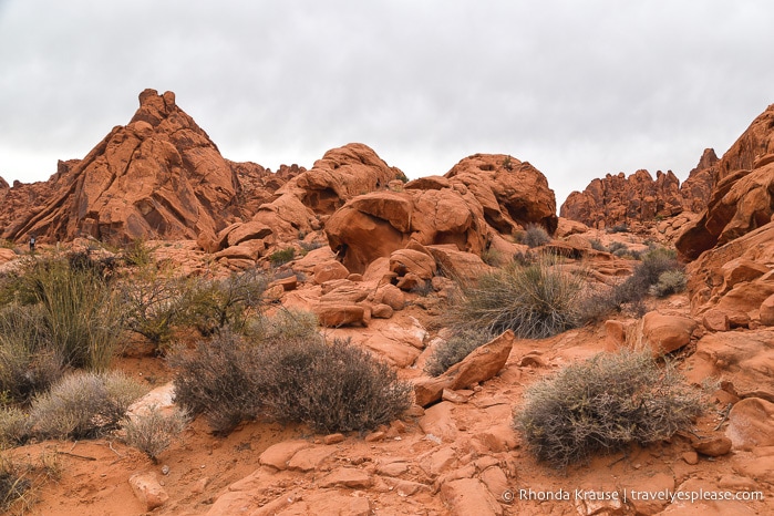 travelyesplease.com | How to Enjoy a Half-Day in Valley of Fire State Park- Best Hikes and Scenic Spots