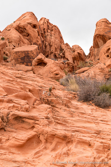 travelyesplease.com | Valley of Fire State Park- Best Things to See and Do in Half a Day