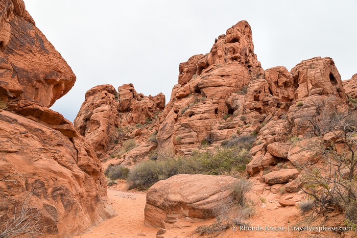 travelyesplease.com | Half a Day in Valley of Fire State Park- Best Hikes and Scenic Spots for a Short Visit