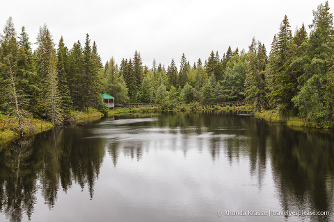 travelyesplease.com | Things to Do in Abitibi-Témiscamingue for Nature Lovers