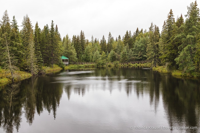 travelyesplease.com | Things to Do in Abitibi-Témiscamingue for Nature Lovers