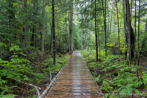 travelyesplease.com | A Nature-Filled Vacation in the Laurentians, Quebec
