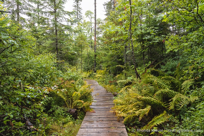 travelyesplease.com | A Nature-Filled Vacation in the Laurentians, Quebec