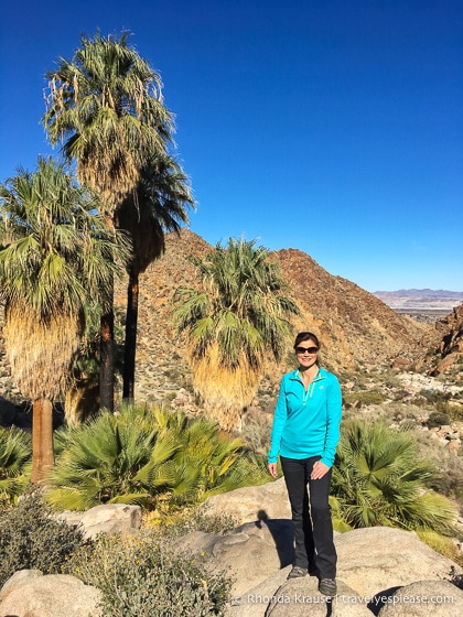 travelyesplease.com | Things to Do in Joshua Tree National Park in One Day