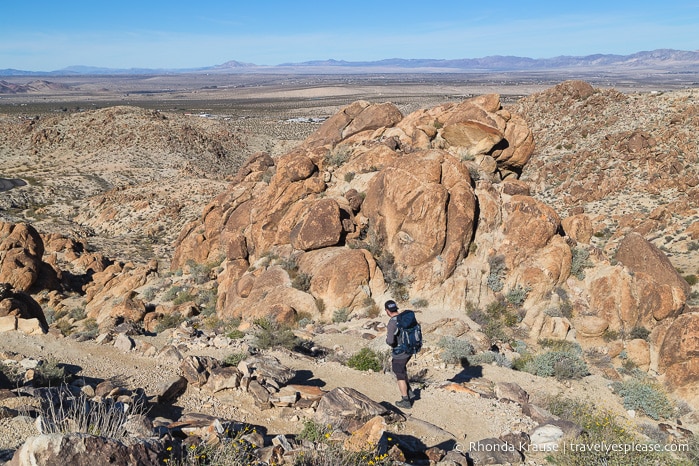 travelyesplease.com | How to Spend One Day in Joshua Tree National Park- Things to Do