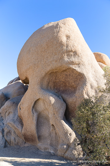 travelyesplease.com | Things to Do in Joshua Tree National Park in One Day