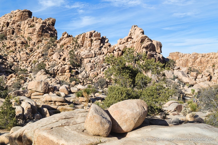 travelyesplease.com | How to Spend One Day in Joshua Tree National Park- Things to Do