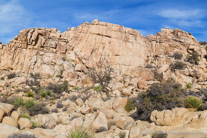 travelyesplease.com | How to Spend One Day in Joshua Tree National Park- Things to Do