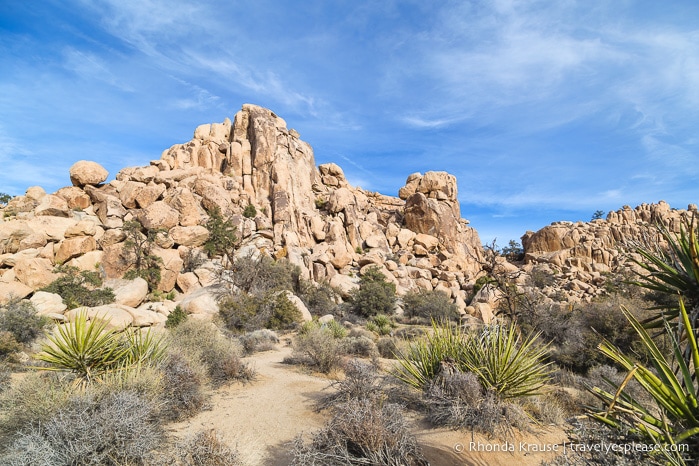 travelyesplease.com | Day Trip to Joshua Tree National Park- Places to See and Things to Do