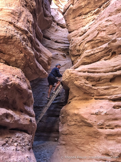 Ladder Canyon and Painted Canyon Trail- A Unique Hike in the Mecca Hills, California