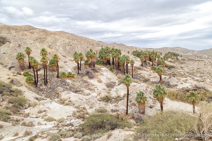 travelyesplease.com | Places to Visit Near Palm Springs- Day Trip Ideas