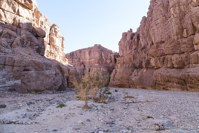 travelyesplease.com | Hiking Ladder Canyon and Painted Canyon Trail- Mecca, California