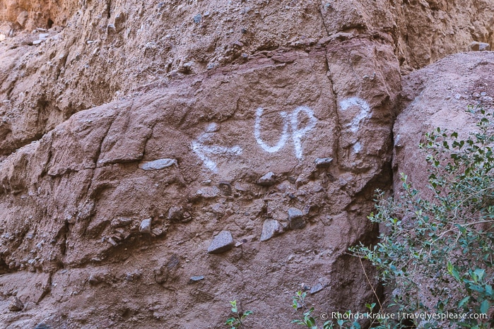 travelyesplease.com | Ladder Canyon Trail Guide- Hiking in the Mecca Hills Wilderness