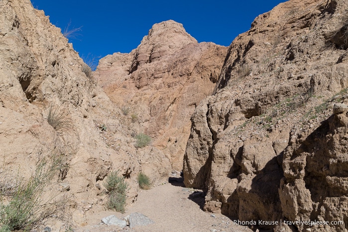 travelyesplease.com | Ladder Canyon and Painted Canyon Trail- A Unique Hike in the Mecca Hills, California
