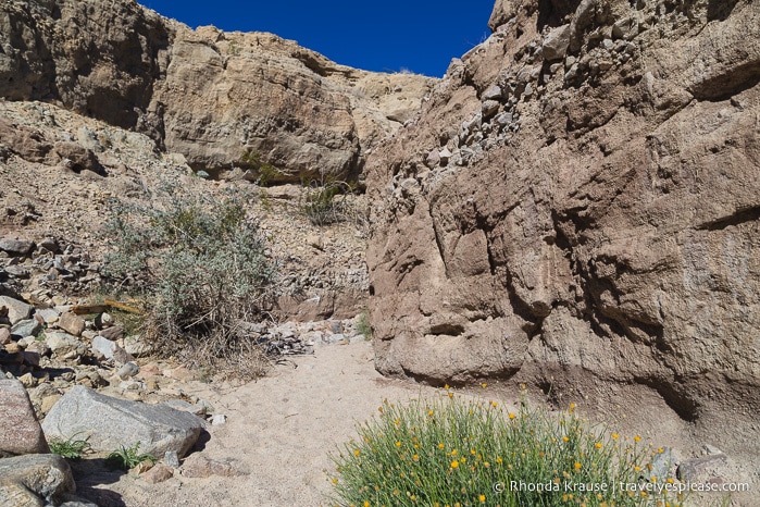 travelyesplease.com | Ladder Canyon and Painted Canyon Trail- A Unique Hike in the Mecca Hills, California