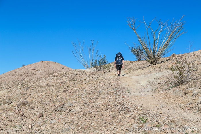 travelyesplease.com | Ladder Canyon and Painted Canyon Trail- A Unique Hike in the Mecca Hills, California