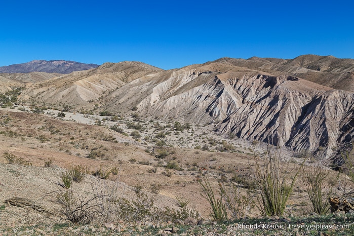 travelyesplease.com | Ladder Canyon Hike- A Unique Trail in the Mecca Hills, California