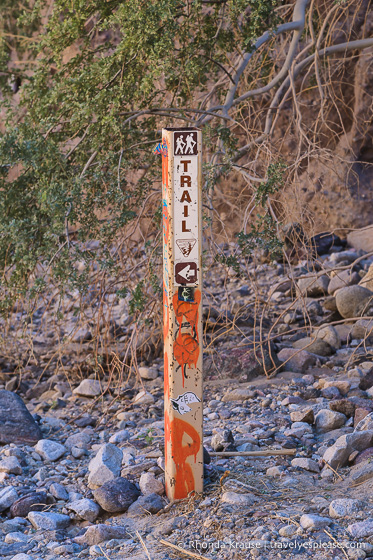 travelyesplease.com | Ladder Canyon Trail Guide- Hiking in the Mecca Hills Wilderness