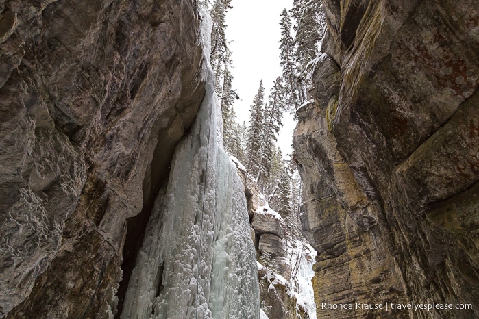 travelyesplease.com | Jasper National Park Bucket List- Things to Do and Places to Visit in Jasper