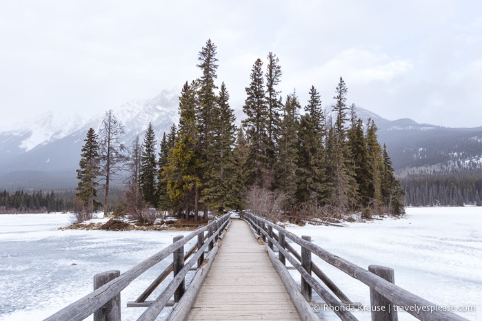 travelyesplease.com | Things to Do in Jasper National Park- Experiences for Your Jasper Bucket List